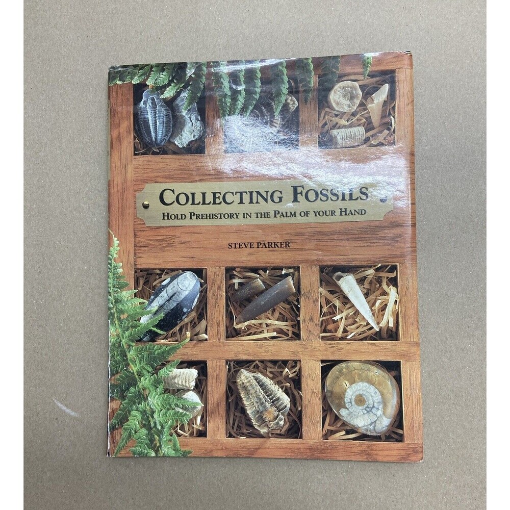 Collecting Fossils: Hold Prehistory in the Palm of Your Hand Stev